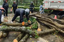 Cảnh ngổn ngang tại Trung Quốc sau bão Matmo