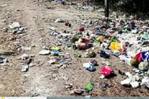 Ngủ dưới gốc cây, người đàn ông chết oan vì xe chở rác