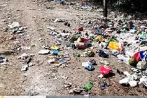 Ngủ dưới gốc cây, người đàn ông chết oan vì xe chở rác