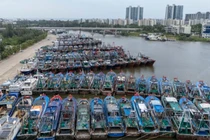 Thành phố ở Trung Quốc sơ tán gần 37.000 người tránh bão Bualoi