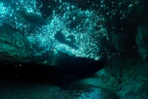 Loạt khoảnh khắc siêu thực khiến người nhìn sửng sốt