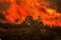 Toàn cảnh cháy rừng dữ dội ở Châu Âu giữa nắng nóng