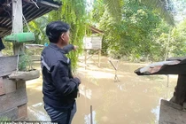 Thai phụ bị cá sấu tấn công tử vong khi đang nấu ăn