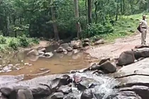 Trên đường về nhà gặp lũ, 4 người trong một gia đình tử vong