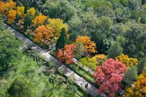 Ấn tượng trước cảnh sắc thiên nhiên ở Trung Quốc