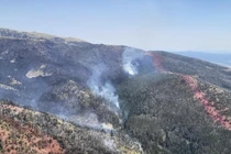 Cháy rừng dữ dội ở Mỹ, lính cứu hỏa thiệt mạng