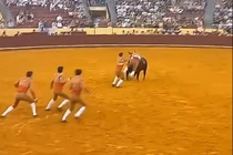 Đấu sĩ 22 tuổi tử vong sau cú húc của bò tót