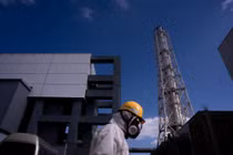 15 năm sau thảm họa hạt nhân Fukushima...hồi sinh 'vùng đất chết' 