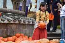 Ấn tượng lễ hội thu hoạch của nông dân Trung Quốc