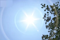 Nắng nóng khắc nghiệt ở Nhật, hàng chục người thiệt mạng