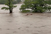 Lũ quét ở Texas khiến hơn 260 người thiệt mạng, mất tích