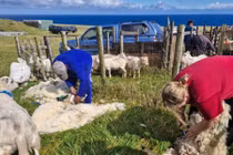 Kinh ngạc cuộc sống ở khu định cư xa xôi có 250 cư dân