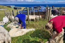 Kinh ngạc cuộc sống ở khu định cư xa xôi có 250 cư dân