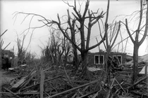 Ám ảnh trận lốc xoáy khiến gần 700 người thiệt mạng ở Mỹ