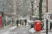 Hình ảnh tuyết phủ trắng xóa ở Nhật Bản trong mùa đông lạnh giá