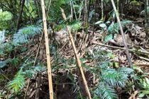 Bị nước lũ cuốn trôi, 5 người tử vong ở Trung Quốc