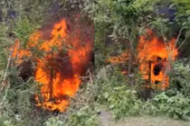 Ô tô bốc cháy sau va chạm, 8 người trong một gia đình tử vong