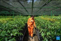 Ấn tượng trước 4 ngôi làng du lịch 'tốt nhất' ở Trung Quốc