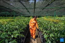 Ấn tượng trước 4 ngôi làng du lịch 'tốt nhất' ở Trung Quốc