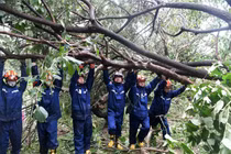 Cảnh ngổn ngang ở thành phố Tam Á (Trung Quốc) sau bão Kajiki