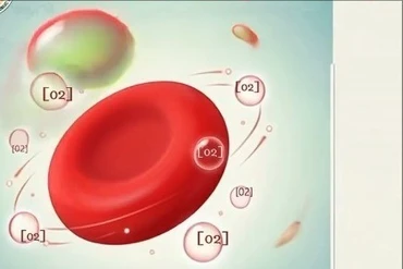 Giải mã các chỉ số xét nghiệm tổng phân tích máu