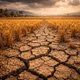 Siêu El Nino từng giết 50 triệu người, thế giới đối mặt nguy cơ mới