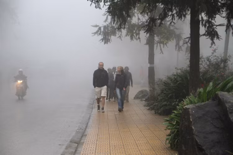 Tam Đảo là “Thị trấn du lịch hàng đầu thế giới”.