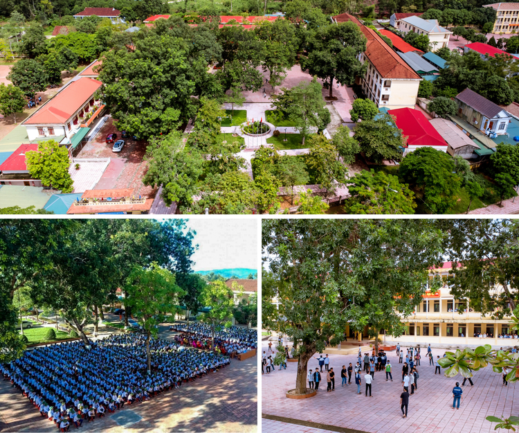 Trường THPT Đồng Lộc ngày nay.