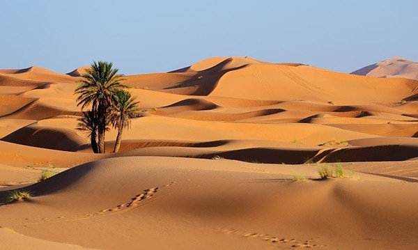 Có nhiều dấu tính văn minh cổ đại đã được tìm thấy tại Sahara.