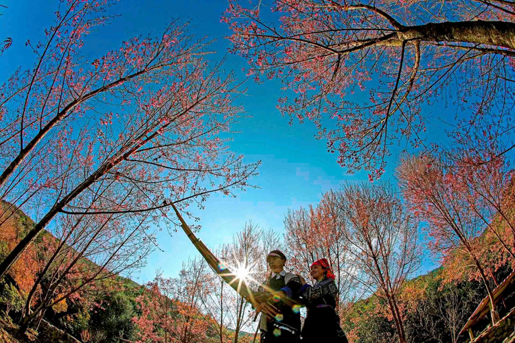 Nghệ thuật Khèn của người Mông, nghệ thuật Tạo hình vẽ hoa văn bằng sáp ong trên vải được Bộ Văn hóa, Thể thao và Du lịch công nhận là Di sản văn hóa phi vật thể quốc gia (Ảnh: Thanh Miền).