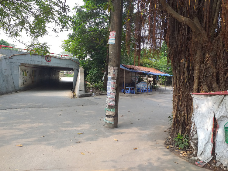 Chính quyền các địa phương cần di dời những cây cột điện sau khi nâng cấp mở rộng đường. Chính quyền các địa phương cần di dời những cây cột điện sau khi nâng cấp mở rộng đường.