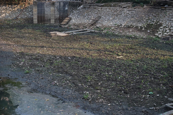 Lòng hồ nước cạn trơ đáy, cỏ mọc xanh.