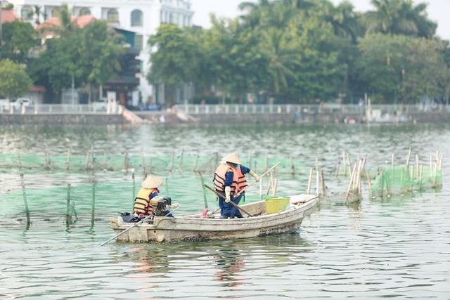 Cá chết khiến cuộc sống của người dân bị ảnh hưởng. Ảnh: Quỳnh Mai