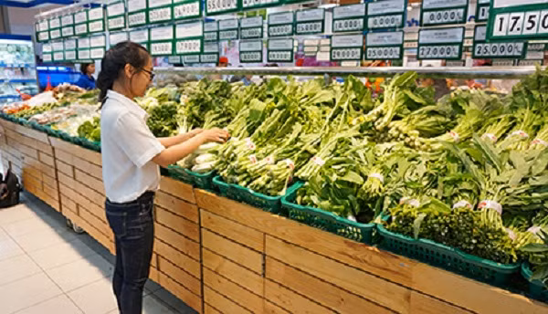 Quầy bán rau sạch tại siêu thị co.opmart.