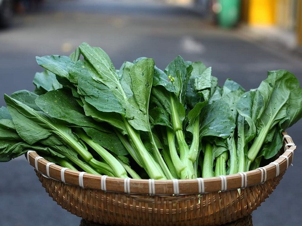 Cải Dúng hữu cơ. (Ảnh: Trương Thắm)