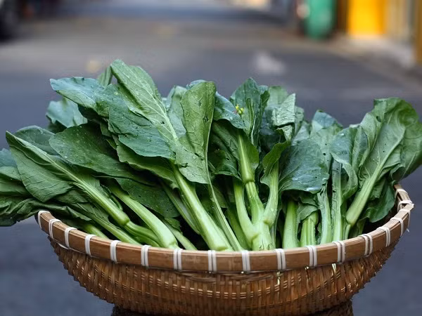 Cải Dúng hữu cơ. (Ảnh: Trương Thắm)