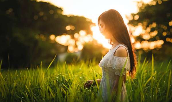 Hình ảnh minh họa.