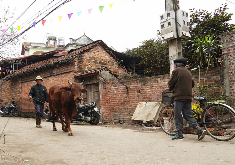 Nơi đây vẫn còn những nét thuần túy của làng quê đồng bằng Bắc Bộ.