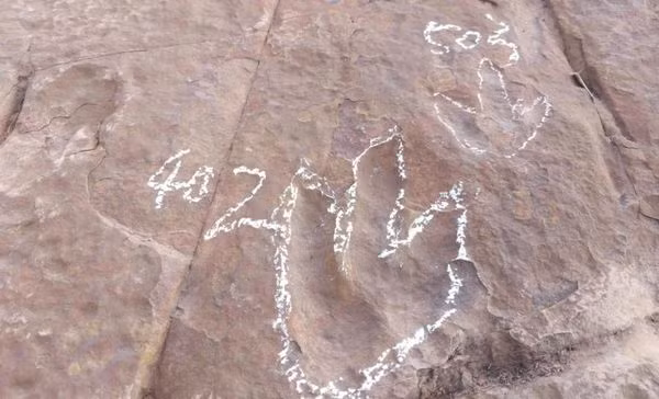 Hóa thạch dấu chân khủng long mới được phát hiện ở Tây Xương, Tứ Xuyên. (Ảnh: Sina) Hóa thạch dấu chân khủng long mới được phát hiện ở Tây Xương, Tứ Xuyên. (Ảnh: Sina)