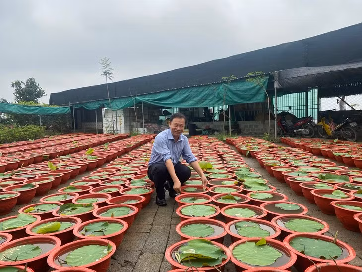 PGS.TS Đặng Văn Đông kiểm tra mô hình nhân giống sen tại Thái Bình. Ảnh: NVCC.