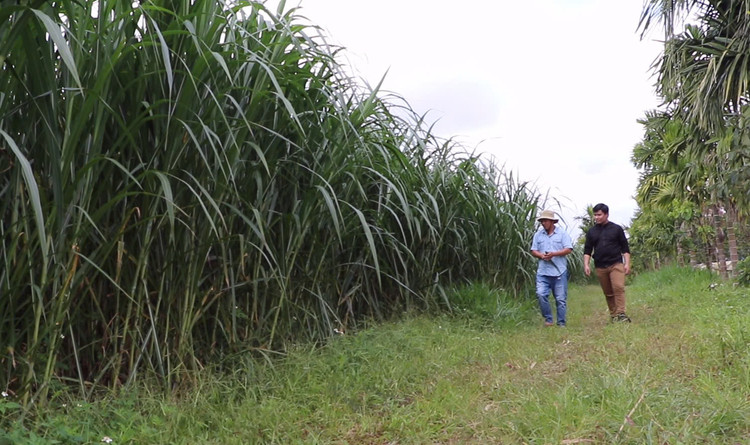 Anh Chính bên đồng cỏ.