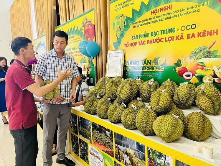 Đắk Lắk là tỉnh có mã số vùng trồng và mã số cơ sở đóng gói nhiều nhất cả nước.