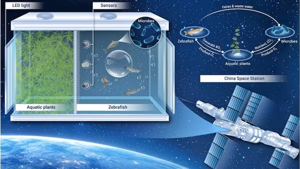 Sự thành công của hệ sinh thái khép kín này có ý nghĩa sâu rộng đối với việc khám phá không gian.