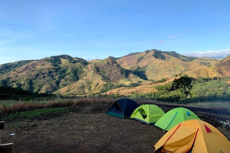 Hoạt động cắm trại được nhiều bạn trẻ yêu thích khi đến Tà Xùa. Nguồn ảnh: Internet