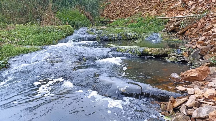 Dòng suối Hón Thành dài hơn 4km nước đã đổi màu đen kịt, có bọt màu trắng đục.