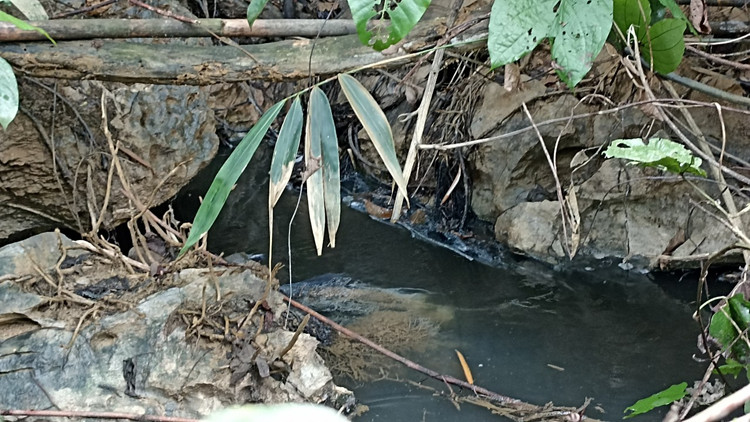 Nước chảy ra từ khe đá có mầu đen kịt, bốc mùi hôi thối