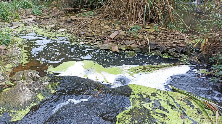 Nước suối Hón Thành biến thành màu đen