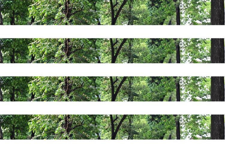 Nhờ sự linh hoạt và nhỏ gọn, xe tải Suzuki Carry rất thích hợp để giao hàng ở các khu vực thành phố đông đúc.