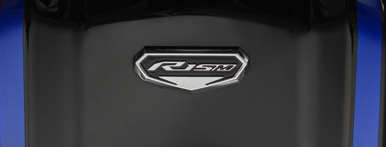 Logo R15M đẳng cấp.