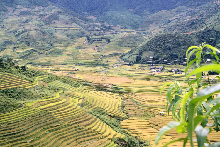 Nằm cách Hà Nội hơn 300 km về phía Bắc, Mù Cang Chải (huyện vùng cao của tỉnh Yên Bái) là một trong những điểm đến mà theo như các bạn trẻ cho rằng: &quot;phải đi&quot; vào dịp mùa lúa chín.